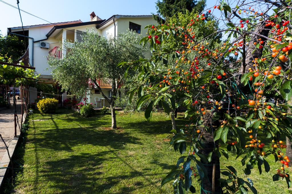 Milica Apartament *